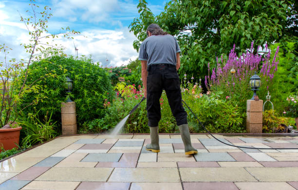 Animal Enclosure Cleaning in Wells, NV